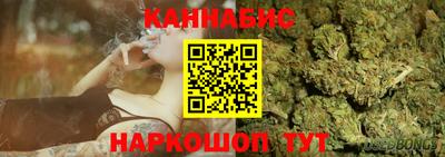 сатива Краснодар