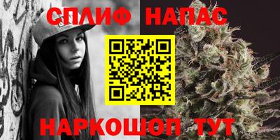 сатива Краснодар