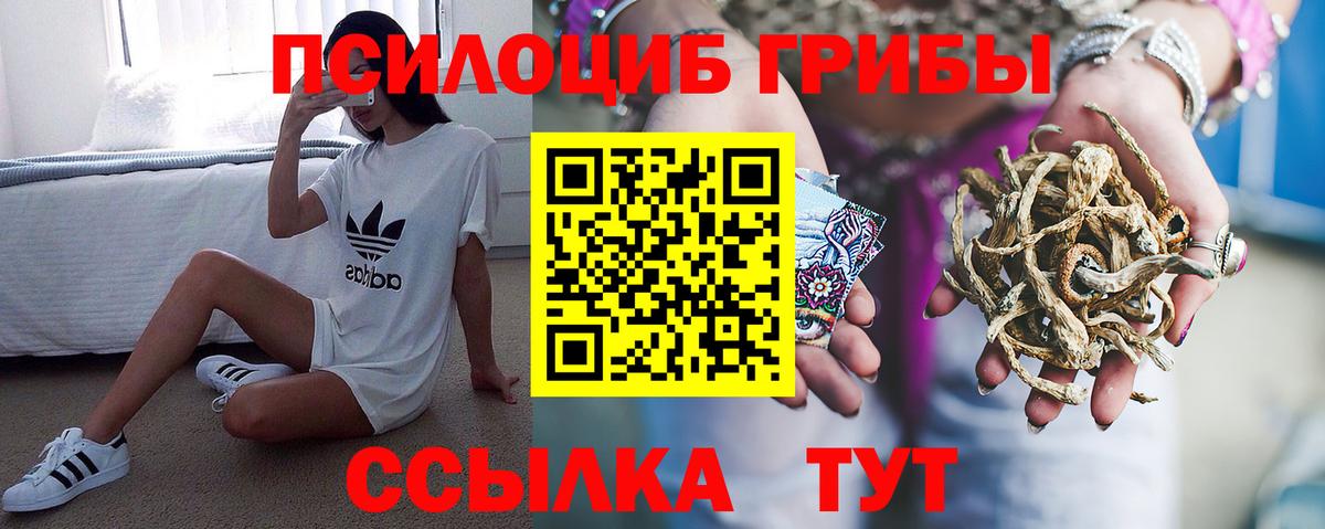 МДМА  Вход с VPN  МЕТ  Метадон  Канабис  Кингисепп  ЭКСТАЗИ  Меф МЯУ МЯУ   ГАШ  Cocaine 