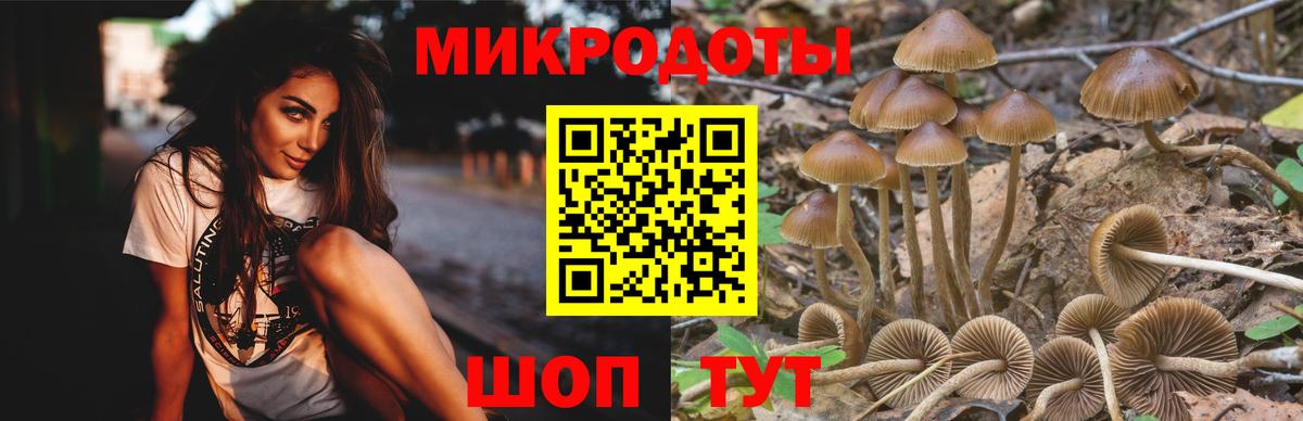 Галлюциногенные грибы мухоморы  Вход с VPN  Кингисепп 