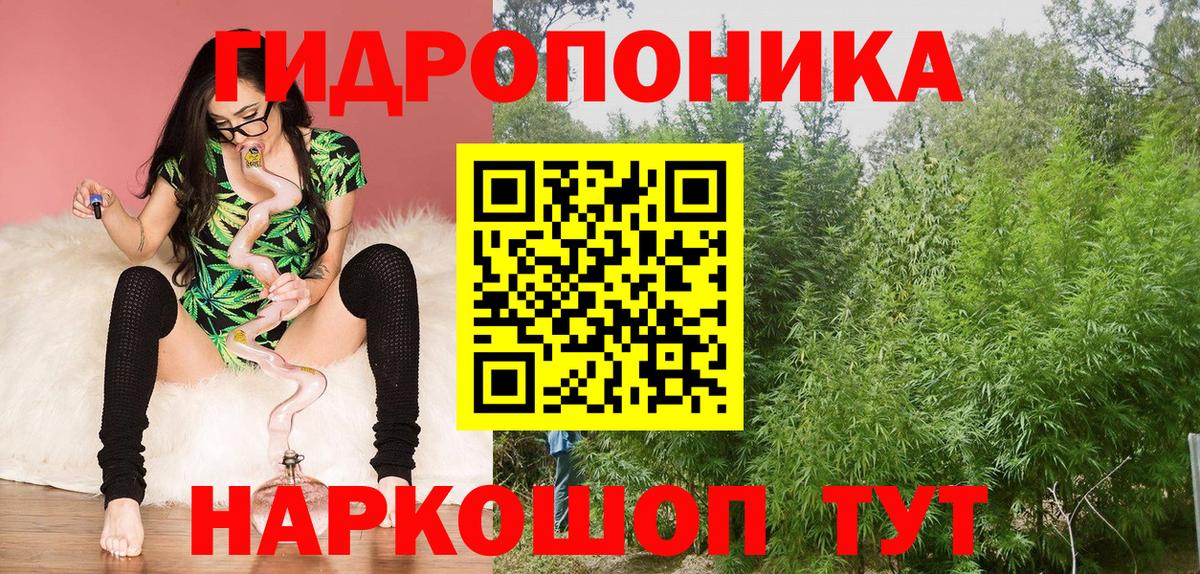Кингисепп  Шишки марихуана Amnesia  МАРИХУАНА ГИДРОПОН  Вход с VPN 